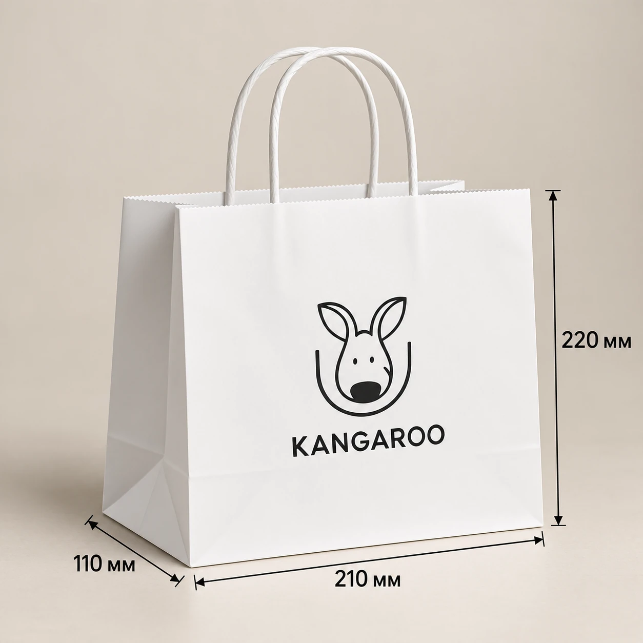 Білий крафтовий пакет 210 × 110 × 220 мм