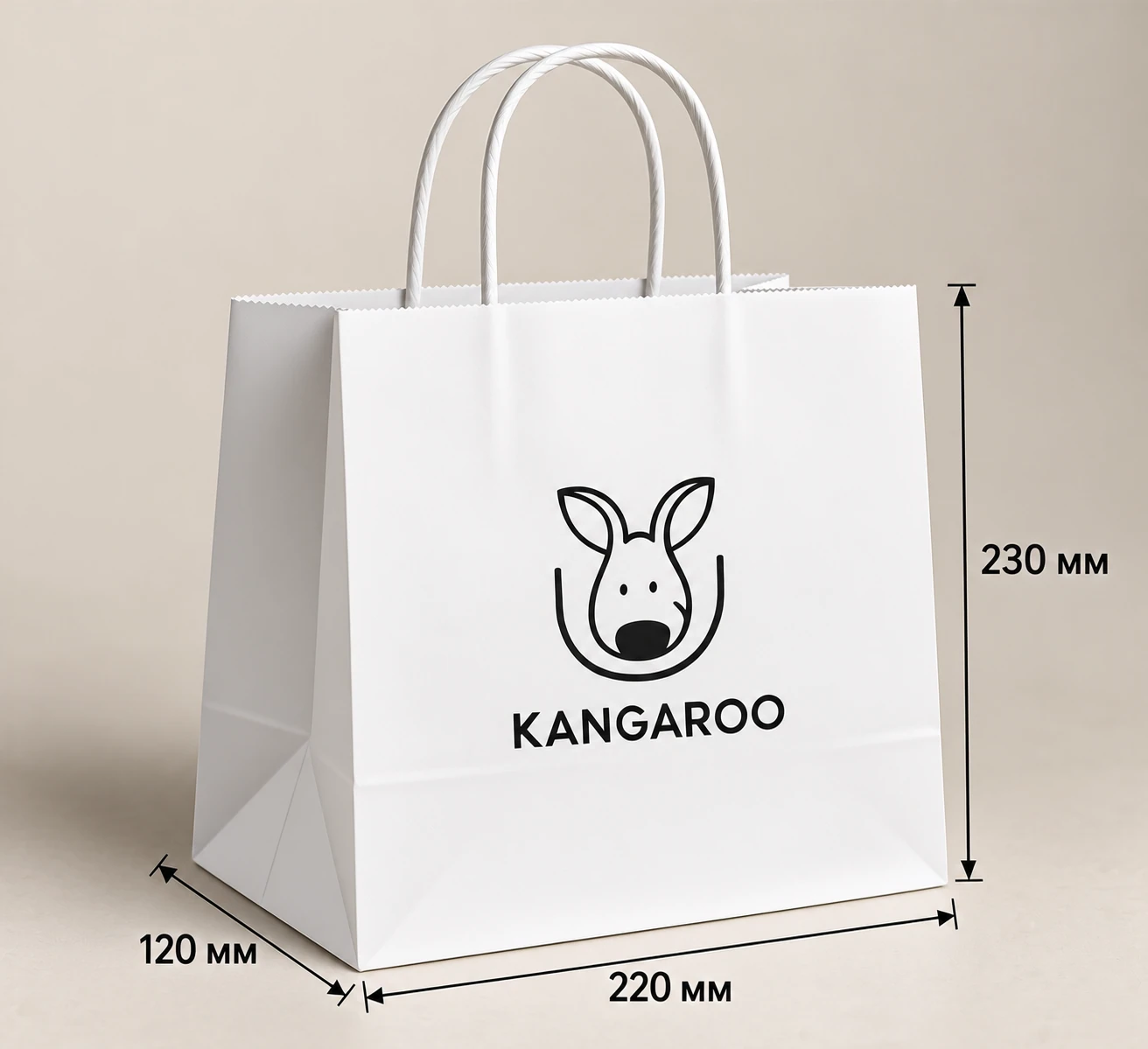 Білий крафтовий пакет 220 × 120 × 230 мм