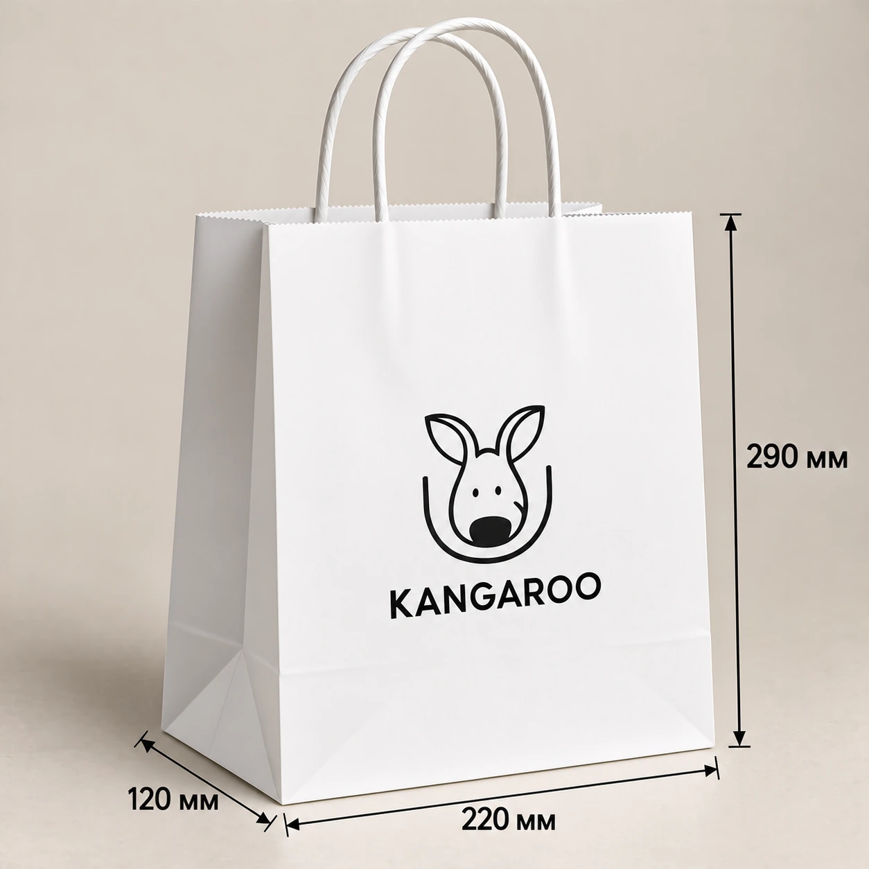 Білий крафтовий пакет 220 × 120 × 290 мм